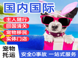 鄂伦春机场邮寄国际宠物托运 【国